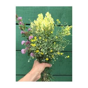 Meet your Posher, Jo